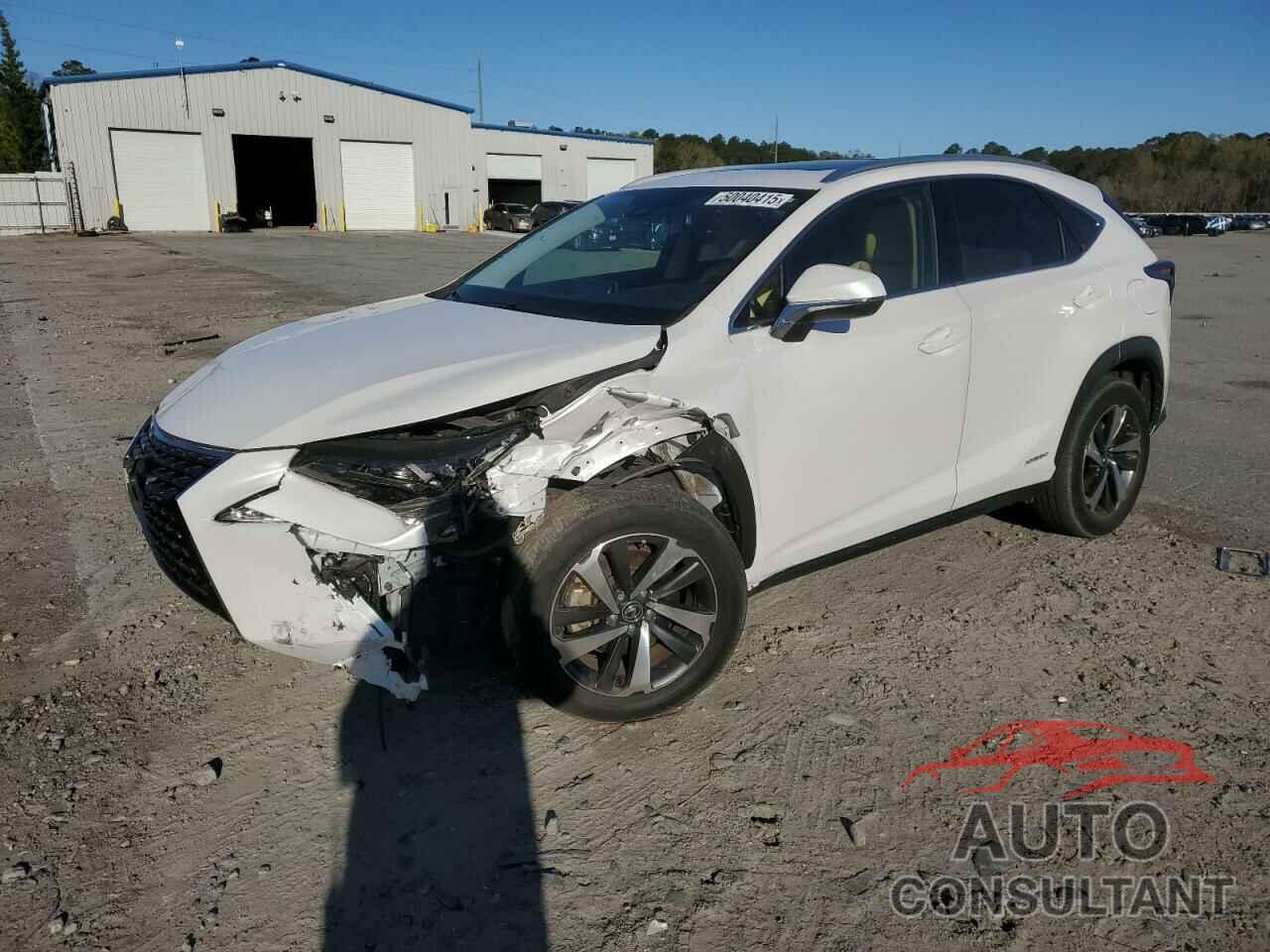 LEXUS NX 2020 - JTJGJRDZXL5003324