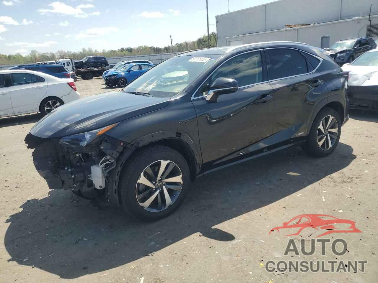 LEXUS NX 2019 - JTJBJRBZ7K2097983