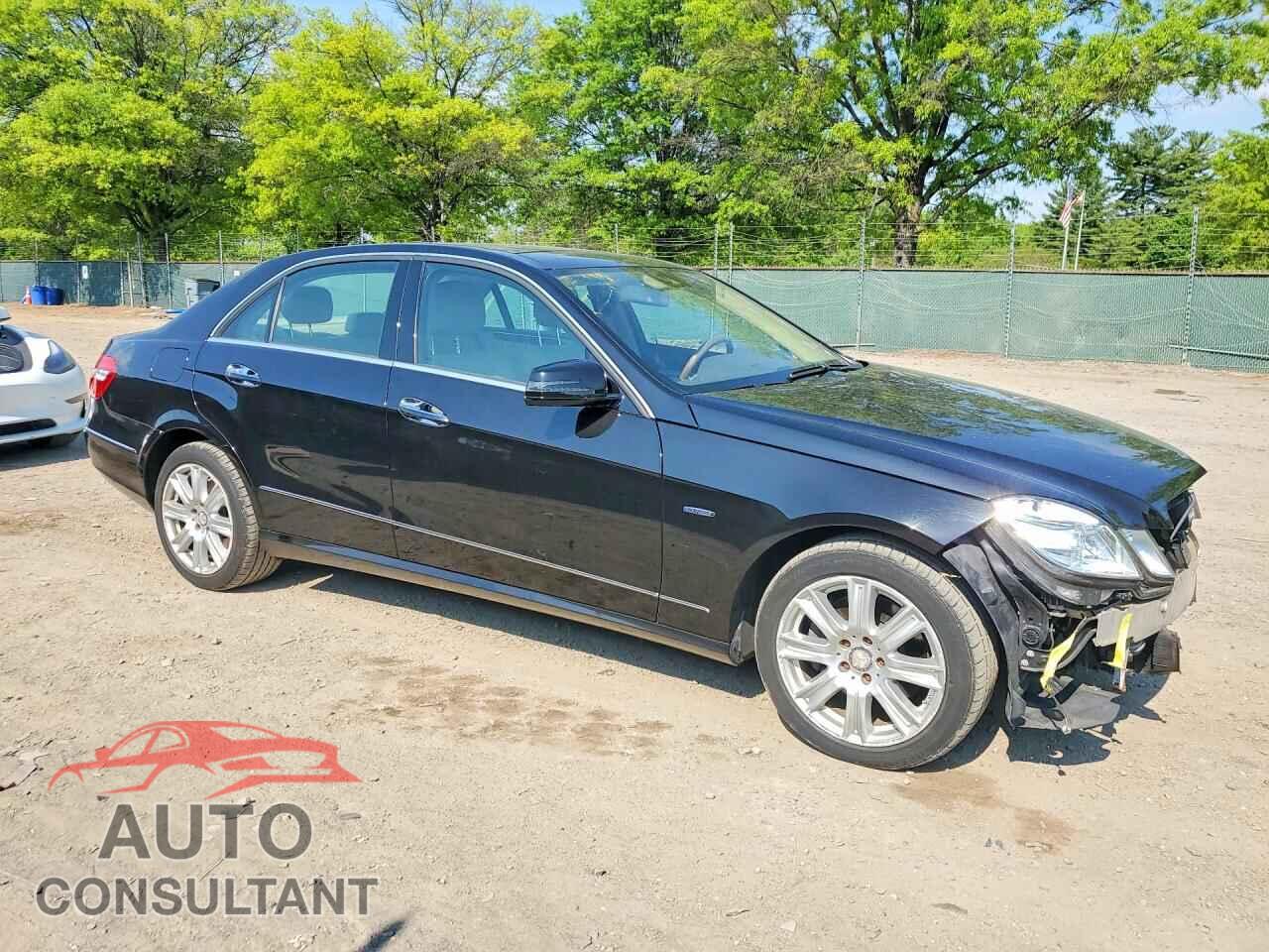 MERCEDES-BENZ E-CLASS 2012 - WDDHF8JBXCA642746