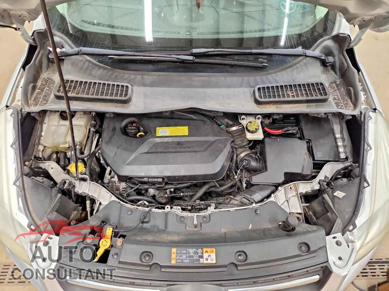FORD ESCAPE 2014 - 1FMCU9GX5EUB57754