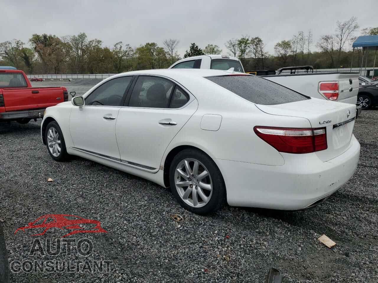LEXUS LS460 2009 - JTHBL46F795089860