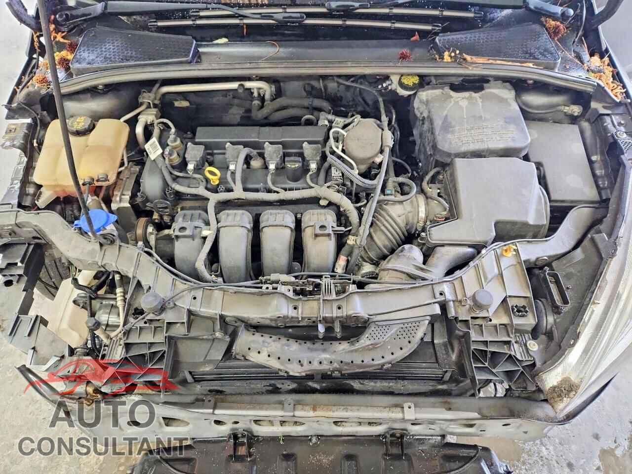 FORD FOCUS 2015 - 1FADP3F26FL216049