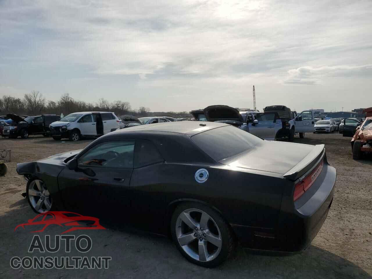 DODGE CHALLENGER 2010 - 2B3CJ5DT3AH157418