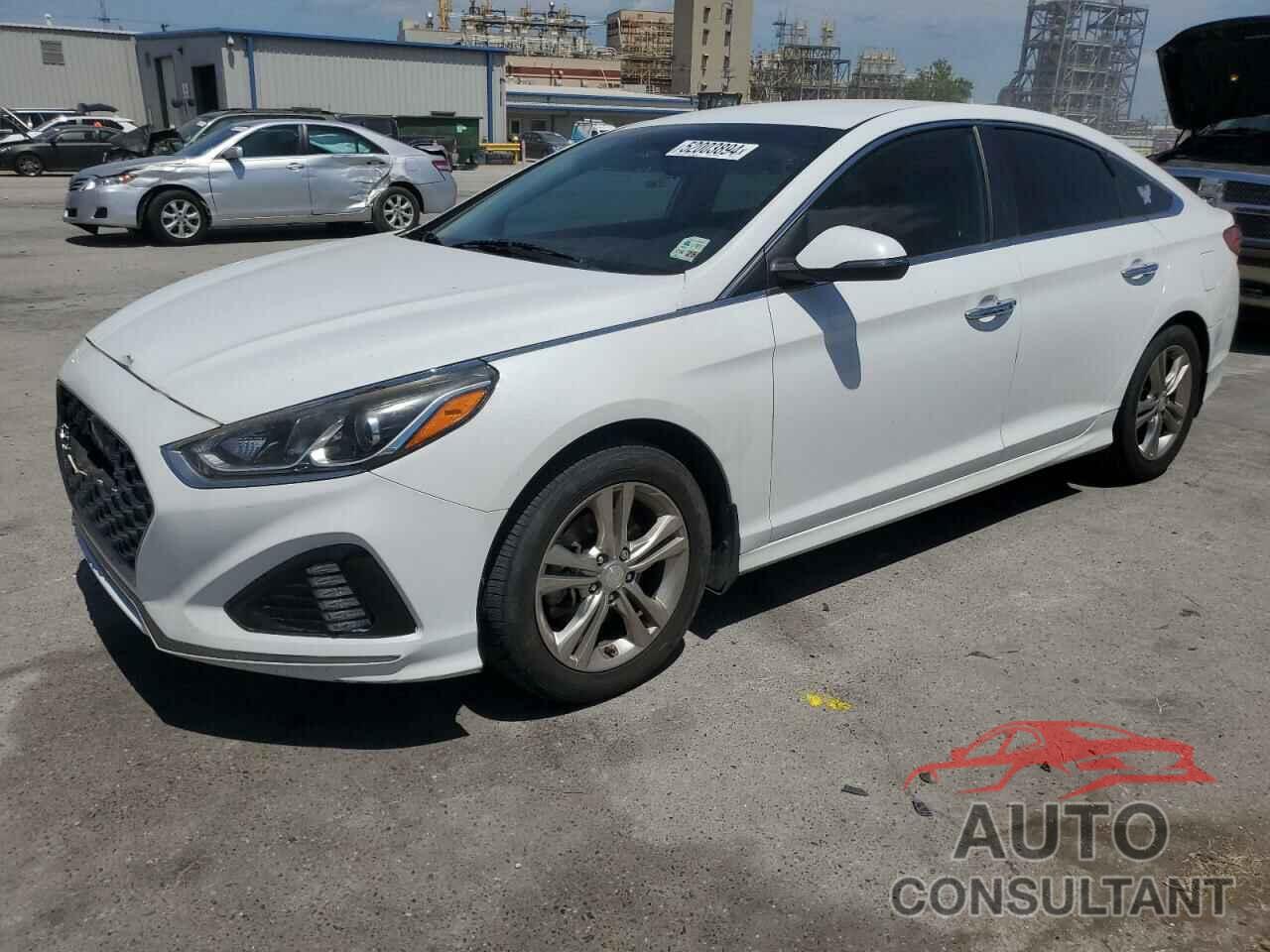 HYUNDAI SONATA 2019 - 5NPE34AF9KH730504