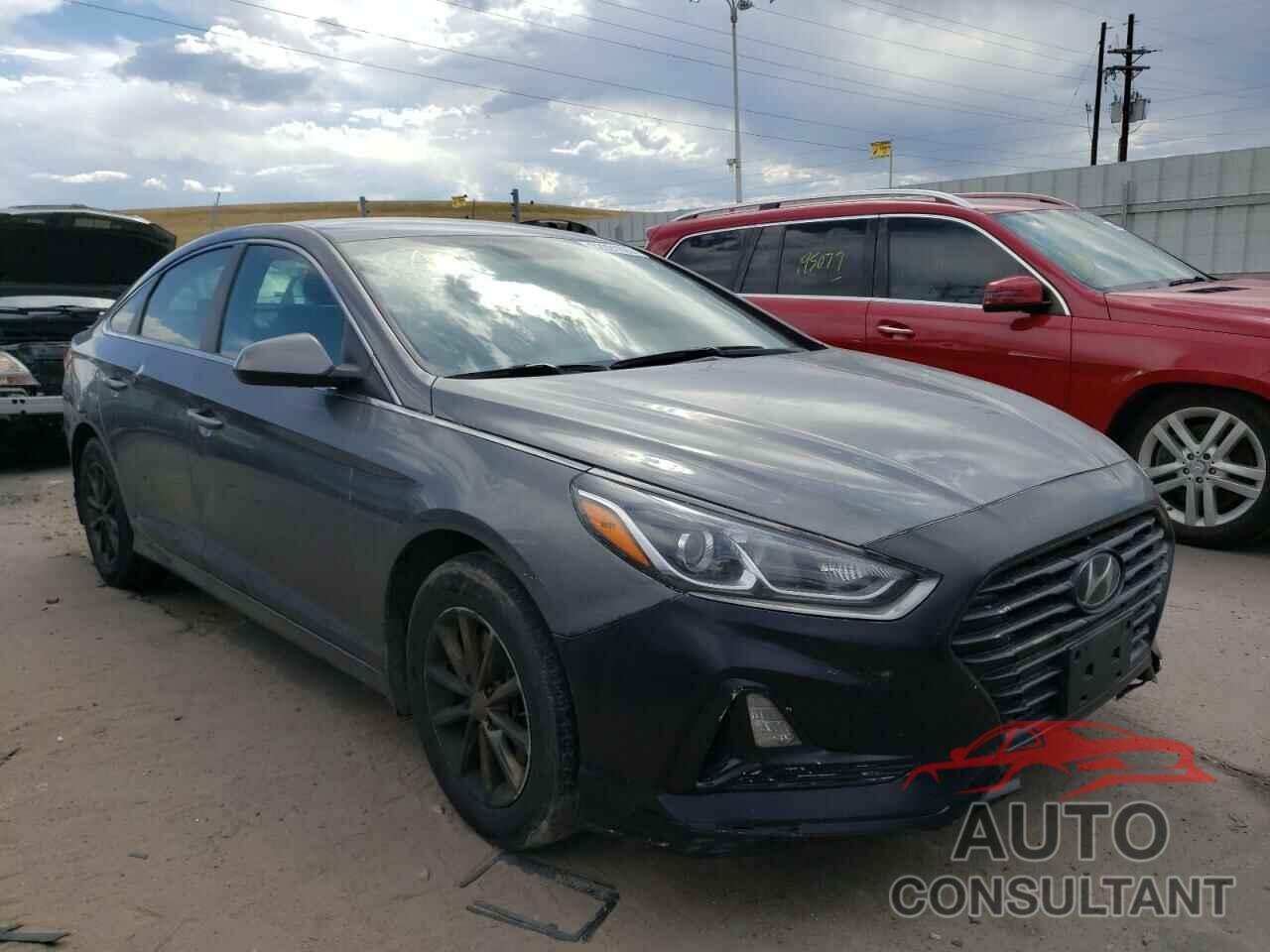 HYUNDAI SONATA 2019 - 5NPE24AF3KH795156