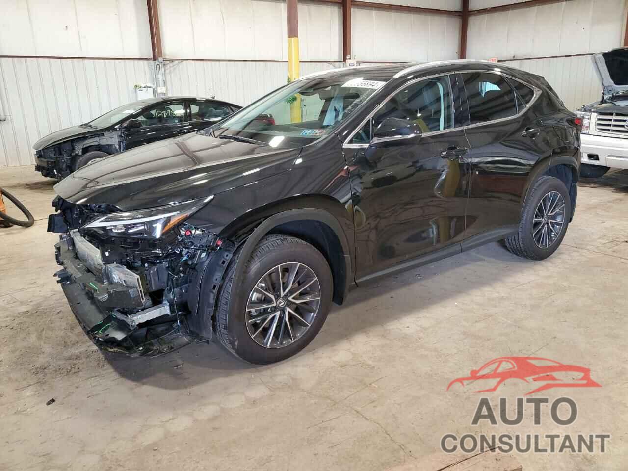 LEXUS NX 350 PRE 2024 - 2T2GGCEZ5RC052161