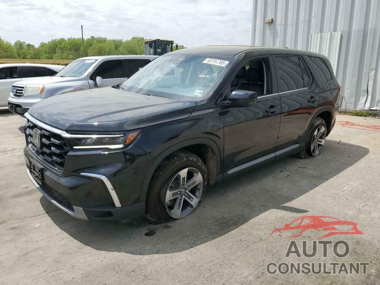 HONDA PILOT 2025 - 5FNYG1H43SB037463