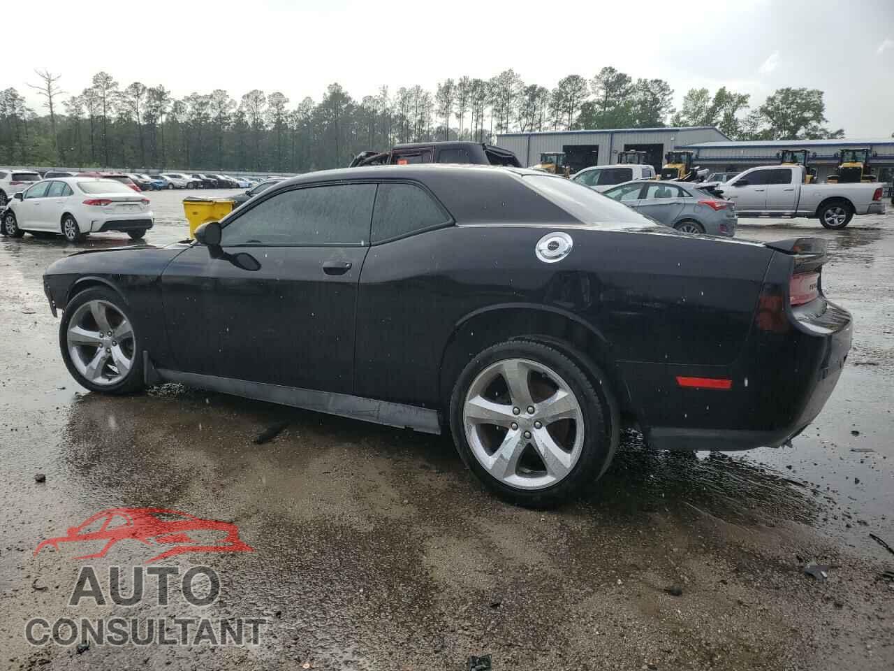 DODGE CHALLENGER 2013 - 2C3CDYAG0DH500287