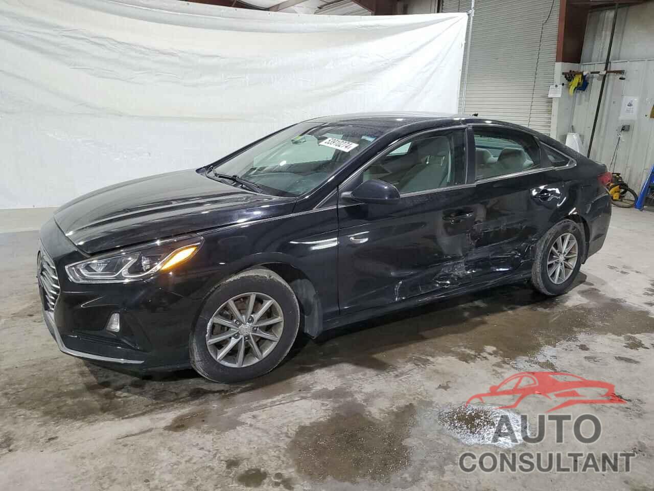 HYUNDAI SONATA 2019 - 5NPE24AF4KH811610