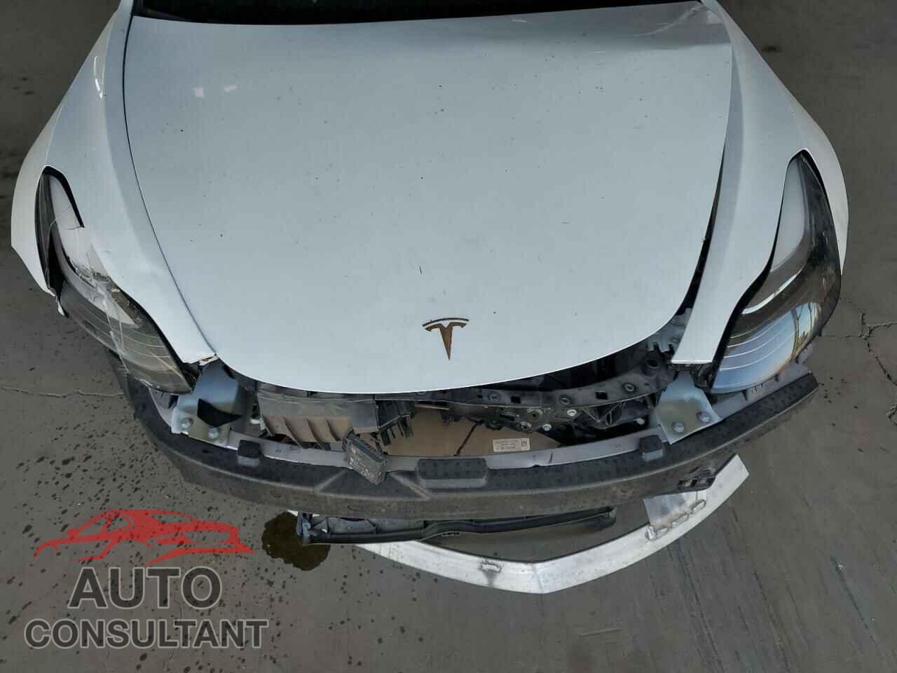TESLA MODEL 3 2019 - 5YJ3E1EB2KF512667