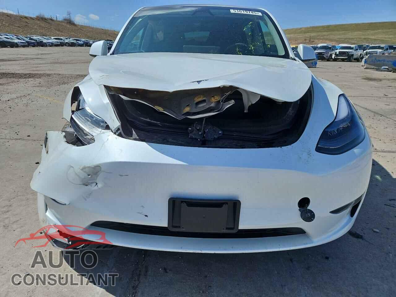 TESLA MODEL Y 2024 - 7SAYGAEE7RF205700