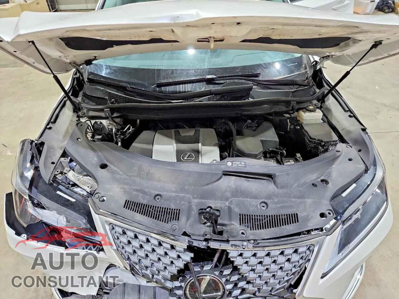 LEXUS RX350 2022 - 2T2HZMDA8NC350195