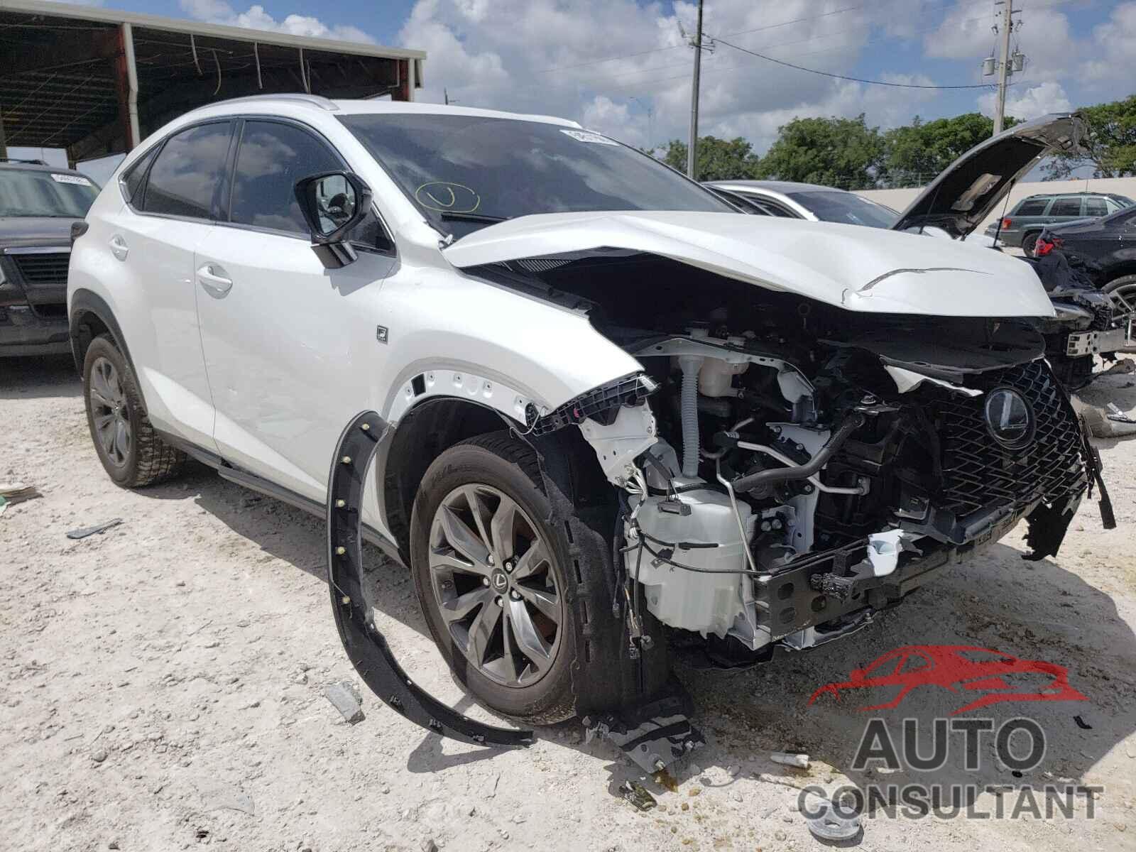 LEXUS NX 2020 - JTJJARBZ0L2174643