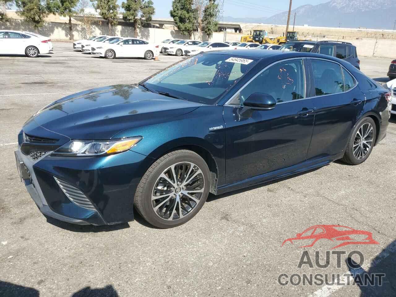 TOYOTA CAMRY 2019 - 4T1B21HK3KU514785