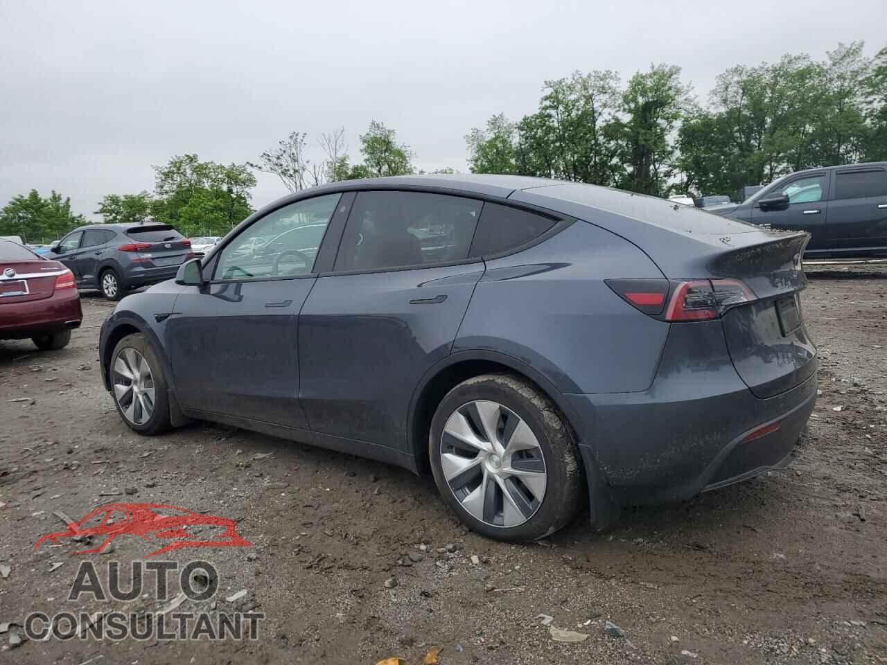 TESLA MODEL Y 2022 - 7SAYGDEE9NF389064