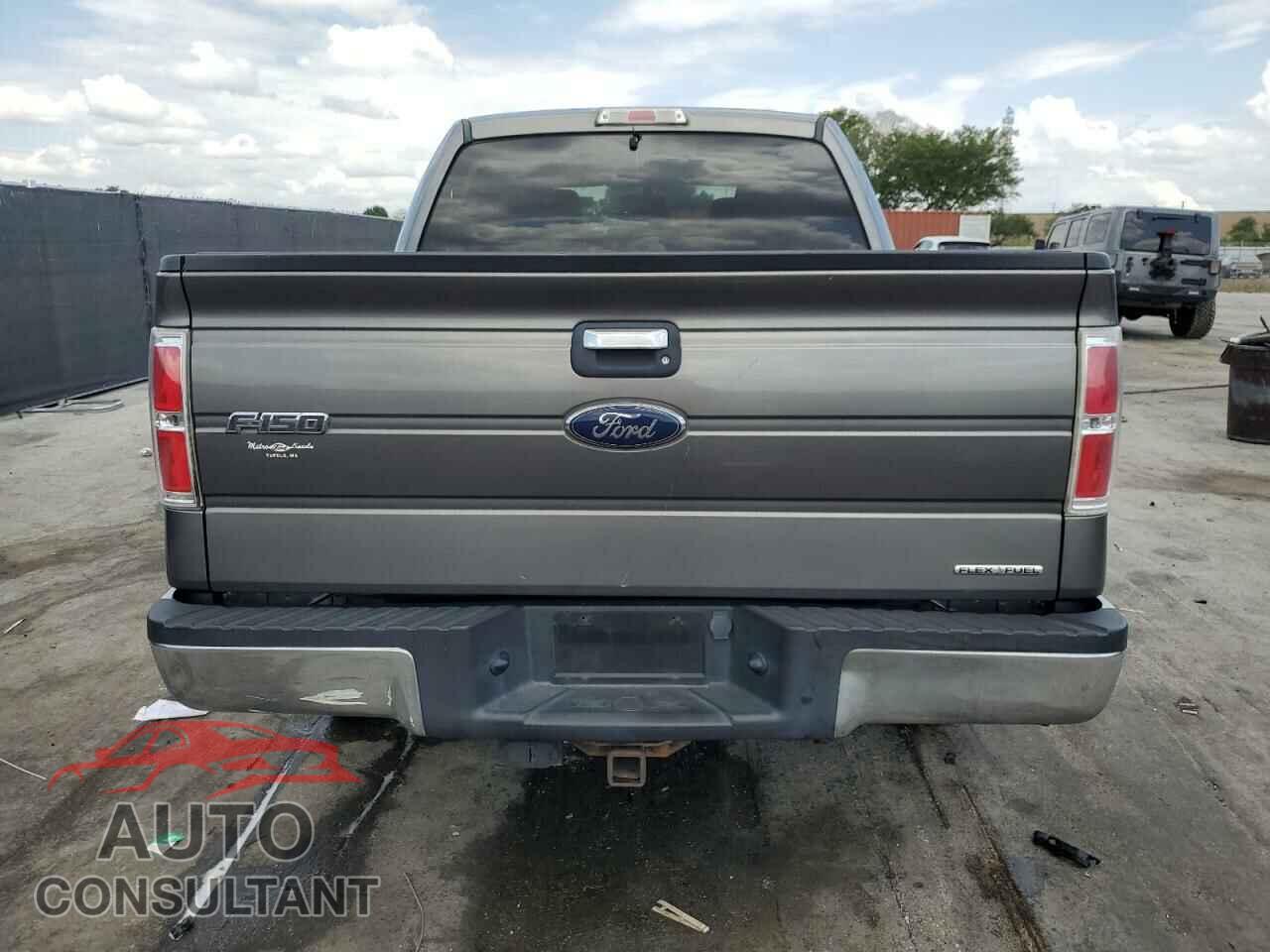 FORD F-150 2013 - 1FTEW1CM4DFD30171