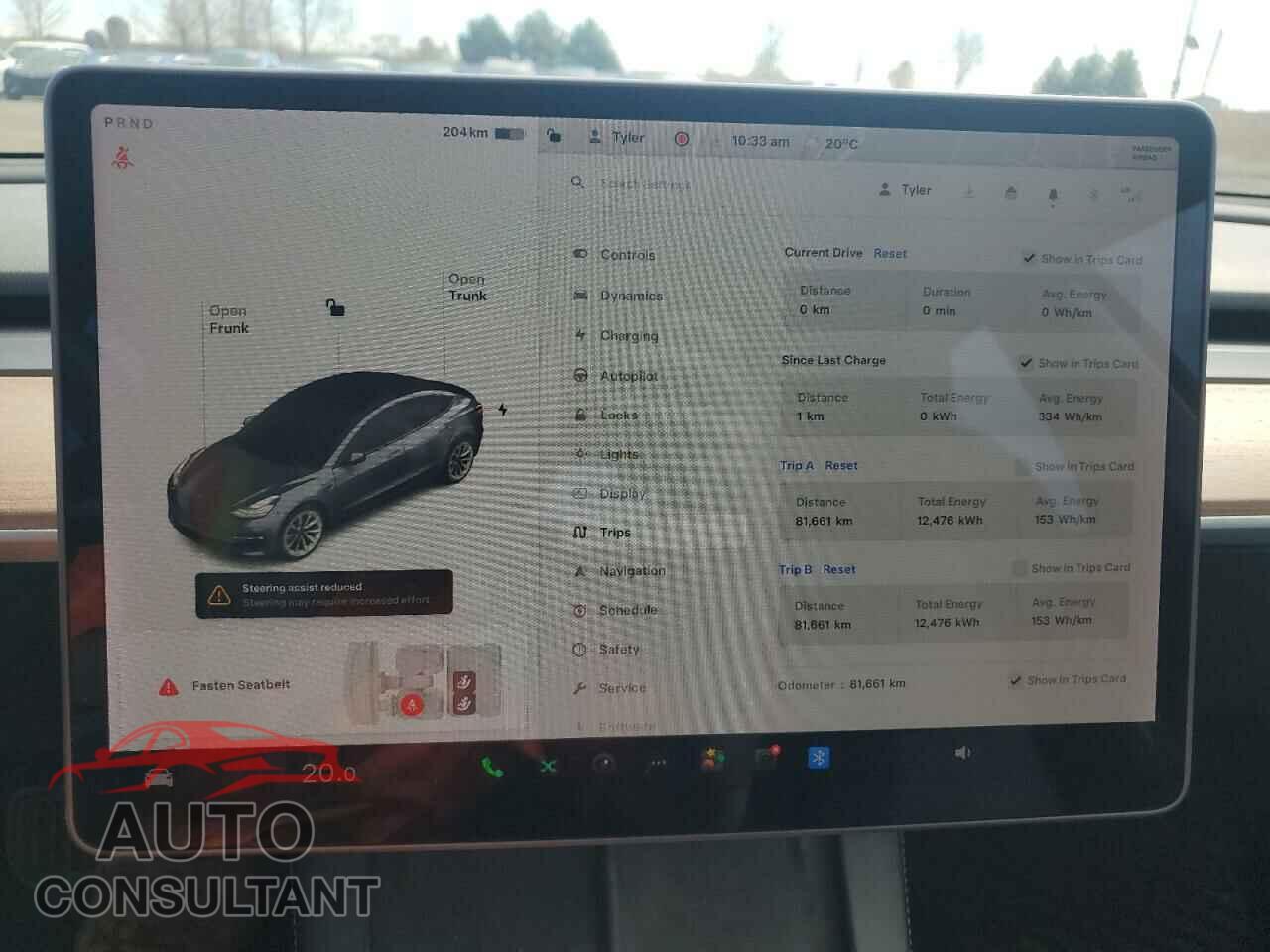 TESLA MODEL 3 2021 - 5YJ3E1EA6MF838465