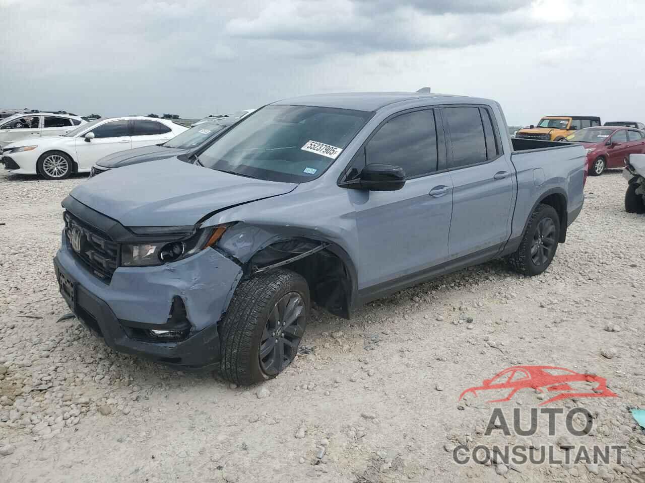 HONDA RIDGELINE 2024 - 5FPYK3F12RB032145