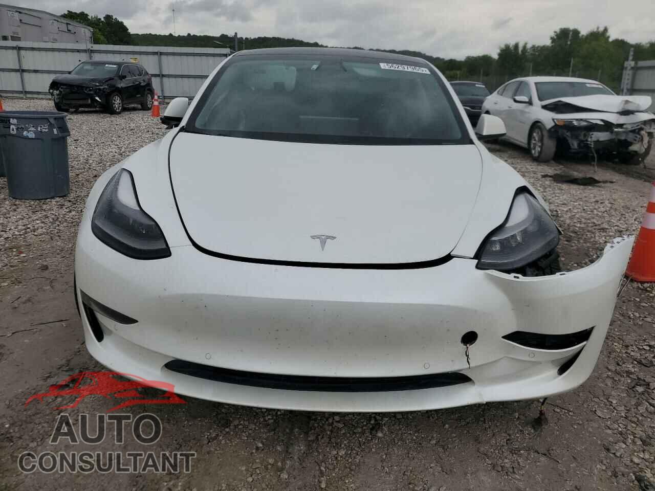 TESLA MODEL 3 2021 - 5YJ3E1EB2MF902056
