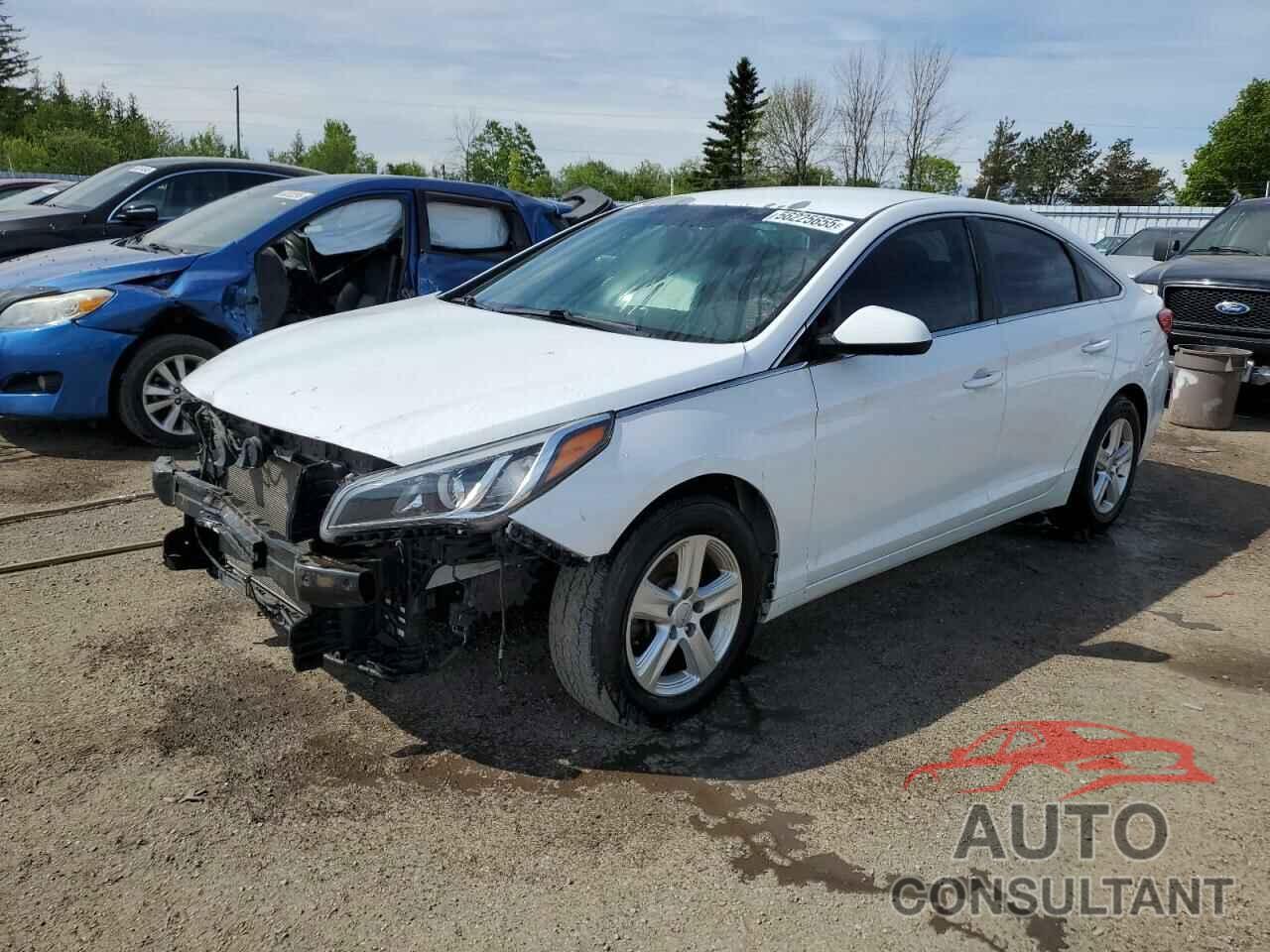 HYUNDAI SONATA 2017 - 5NPE24AF8HH588349