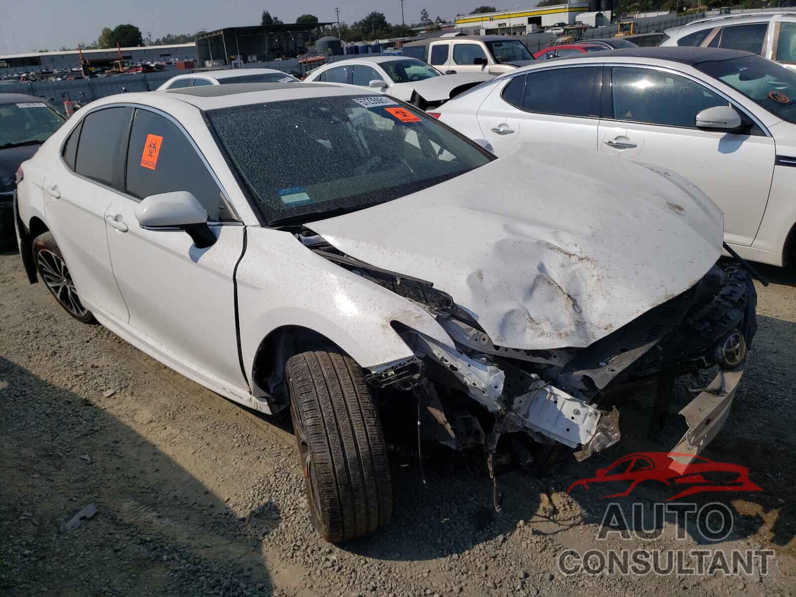 TOYOTA CAMRY 2019 - 4T1B11HK7KU191540