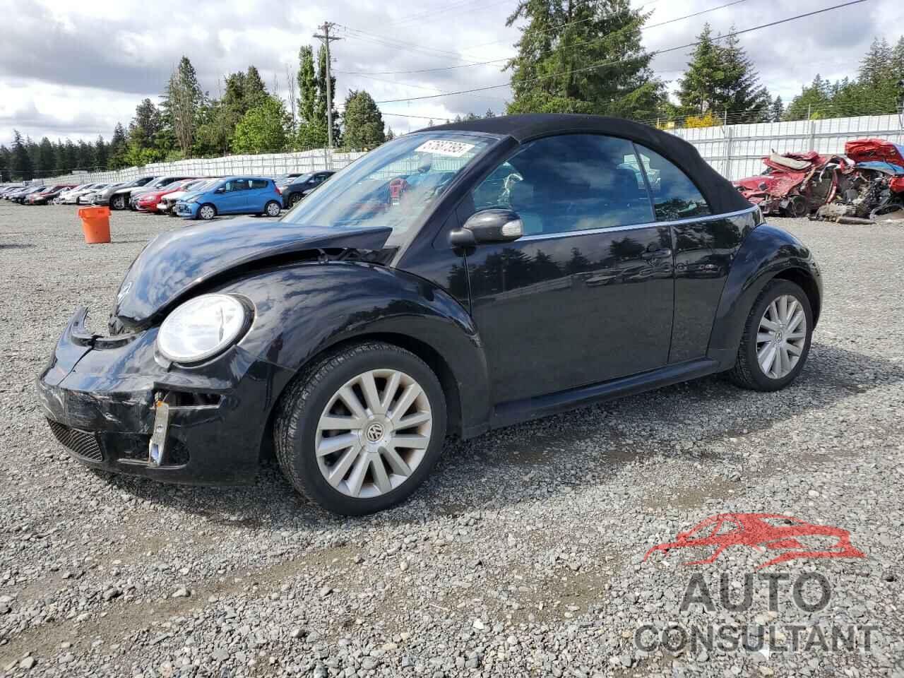 VOLKSWAGEN BEETLE 2009 - 3VWRG31Y09M402942