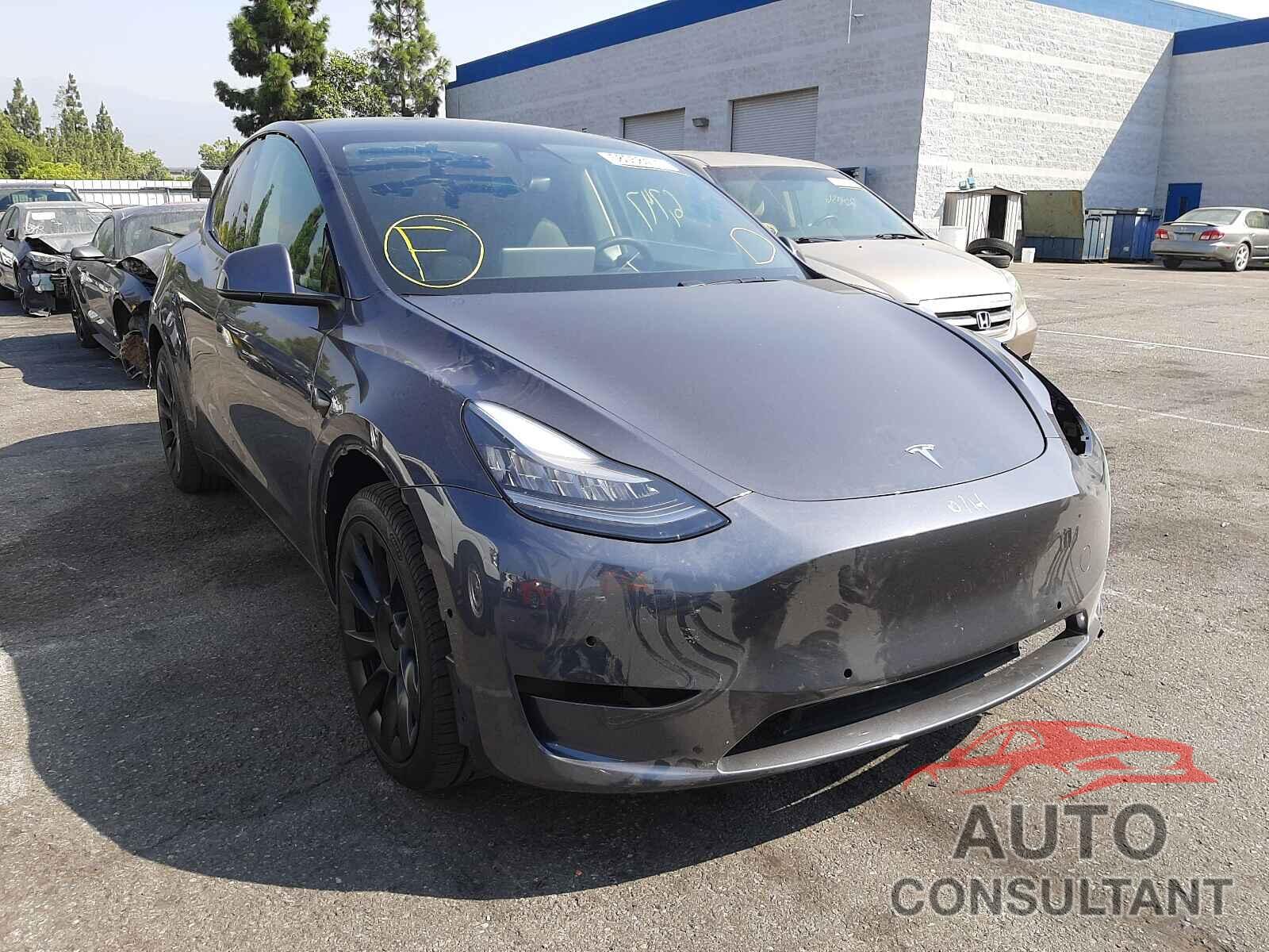 TESLA MODEL Y 2021 - 5YJYGDEE2MF073453