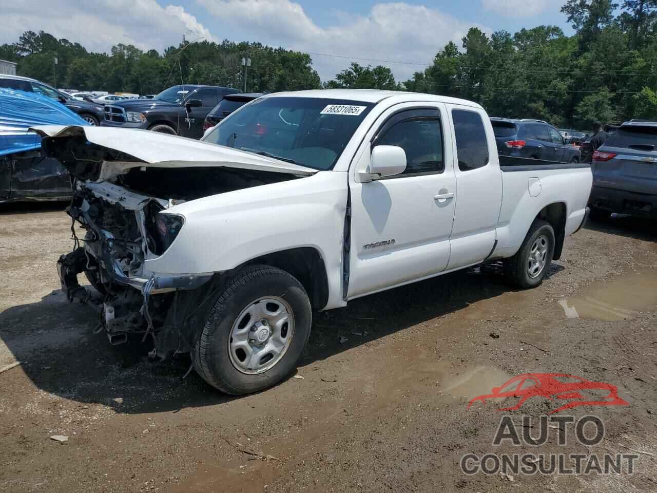 TOYOTA TACOMA 2011 - 5TFTX4CN8BX007263
