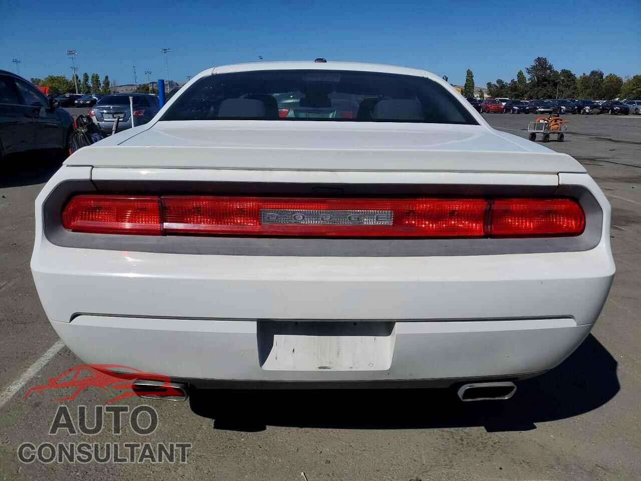 DODGE CHALLENGER 2014 - 2C3CDYBT7EH215003