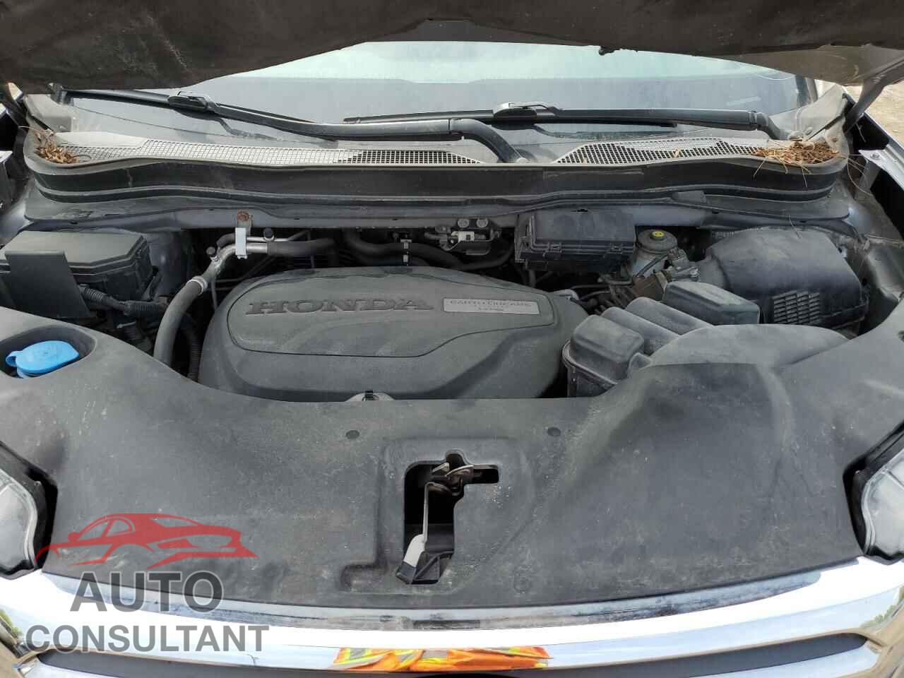 HONDA RIDGELINE 2019 - 5FPYK3F72KB502829