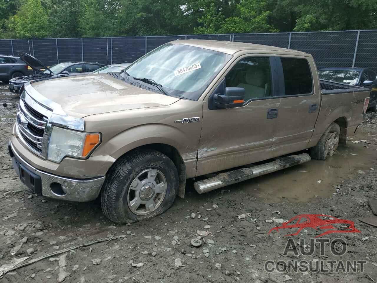 FORD F-150 2013 - 1FTFW1ET1DFC62680