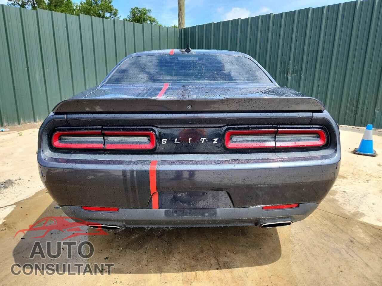 DODGE CHALLENGER 2019 - 2C3CDZAG8KH521794