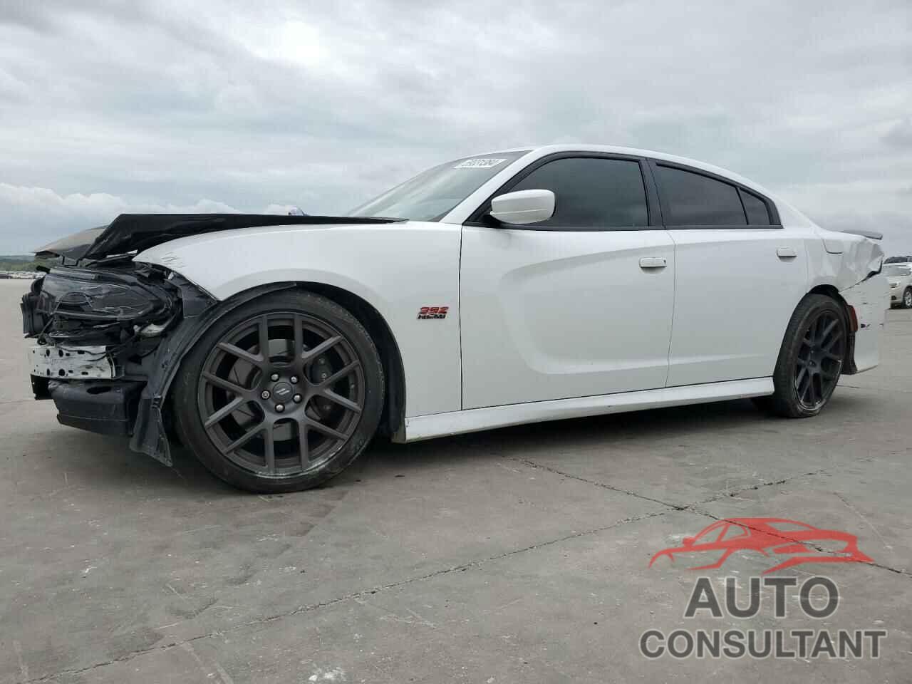 DODGE CHARGER 2019 - 2C3CDXGJ2KH591413
