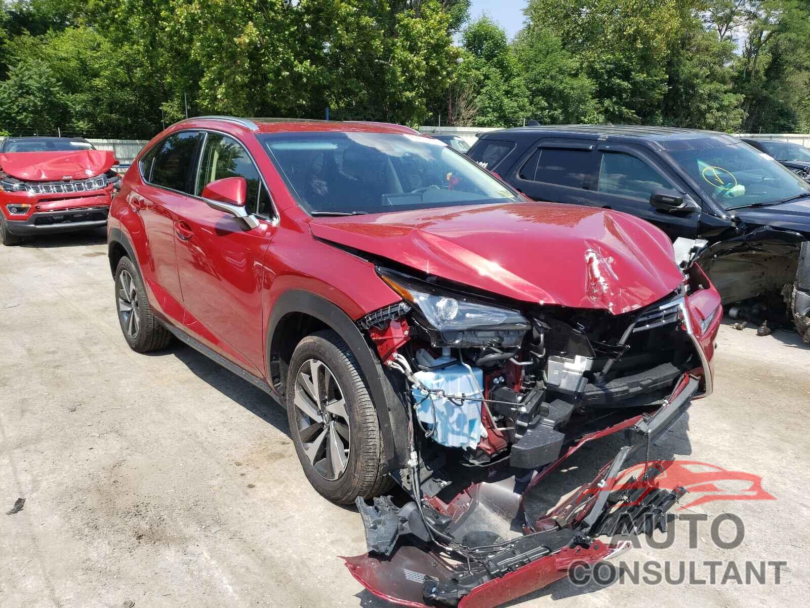 LEXUS NX 2019 - JTJBARBZ5K2216825