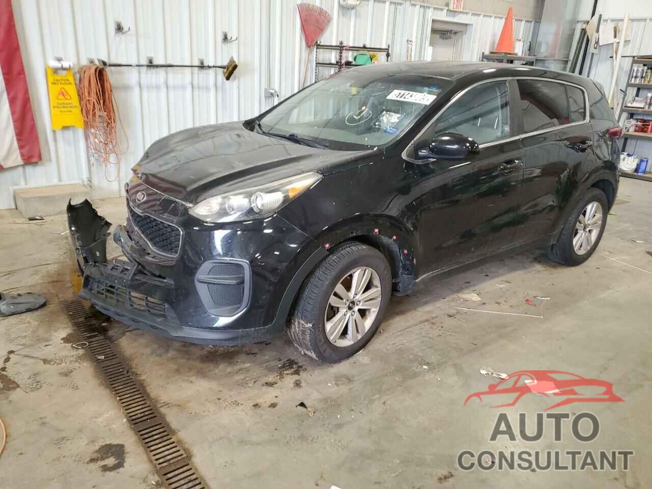 KIA SPORTAGE 2017 - KNDPM3AC4H7060105