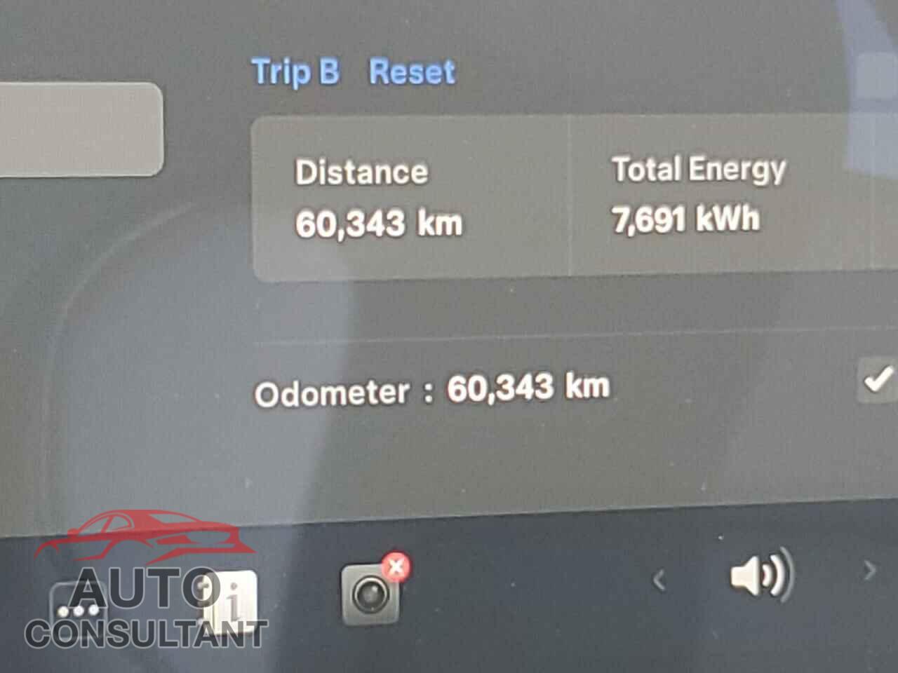 TESLA MODEL 3 2021 - 5YJ3E1EAXMF083496