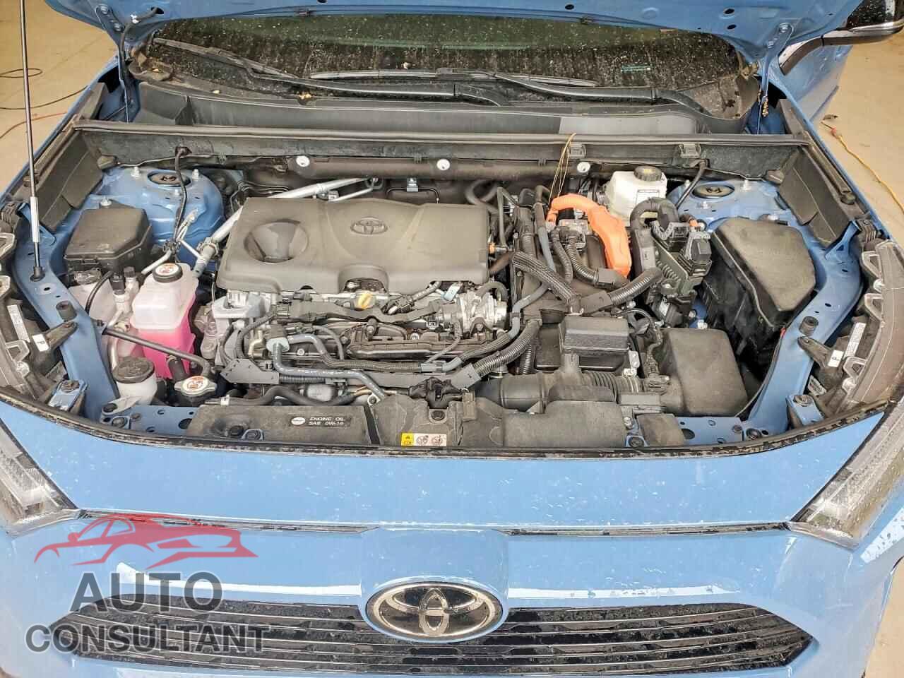 TOYOTA RAV4 2025 - 2T3E6RFV6SW088367