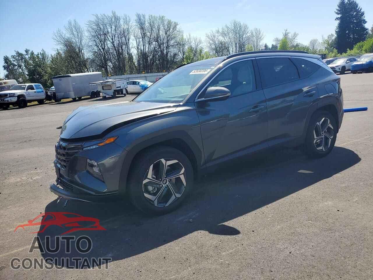 HYUNDAI TUCSON 2024 - KM8JFDD26RU219844