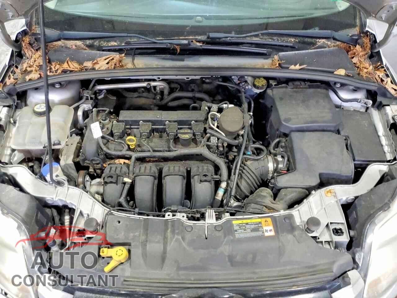 FORD FOCUS 2012 - 1FAHP3F24CL427442