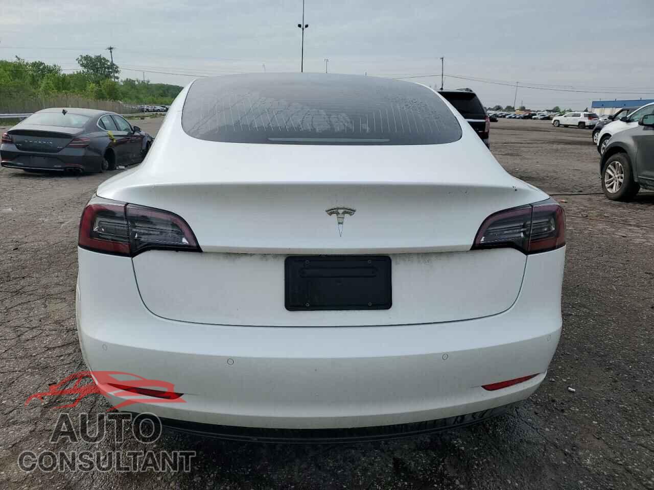 TESLA MODEL 3 2019 - 5YJ3E1EA2KF482514