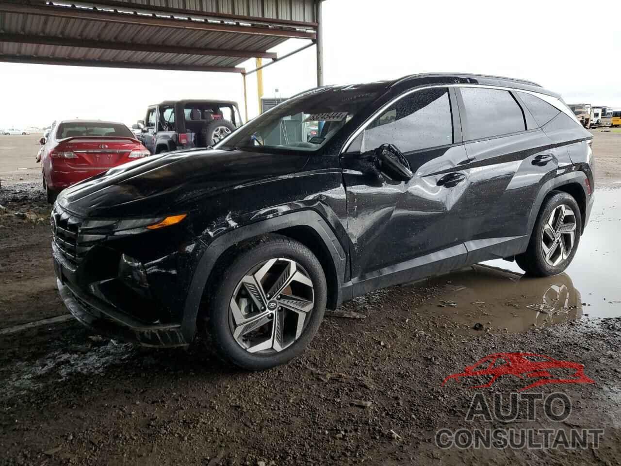 HYUNDAI TUCSON 2024 - 5NMJF3DE0RH336349