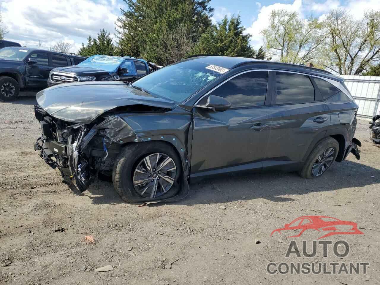 HYUNDAI TUCSON 2023 - KM8JBCA16PU088106