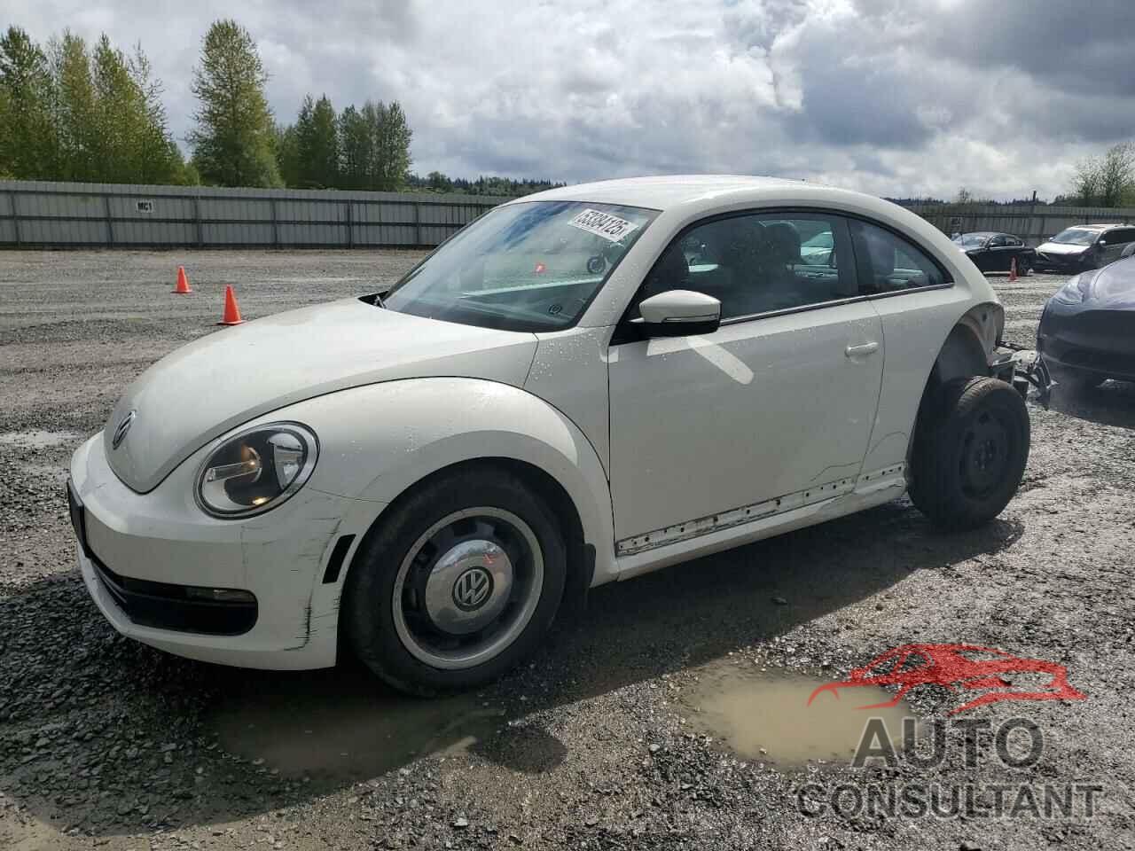 VOLKSWAGEN BEETLE 2013 - 3VWJP7AT9DM675704