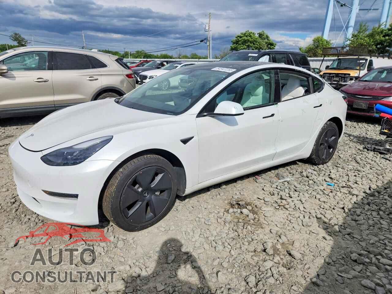 TESLA MODEL 3 2021 - 5YJ3E1EA3MF920492