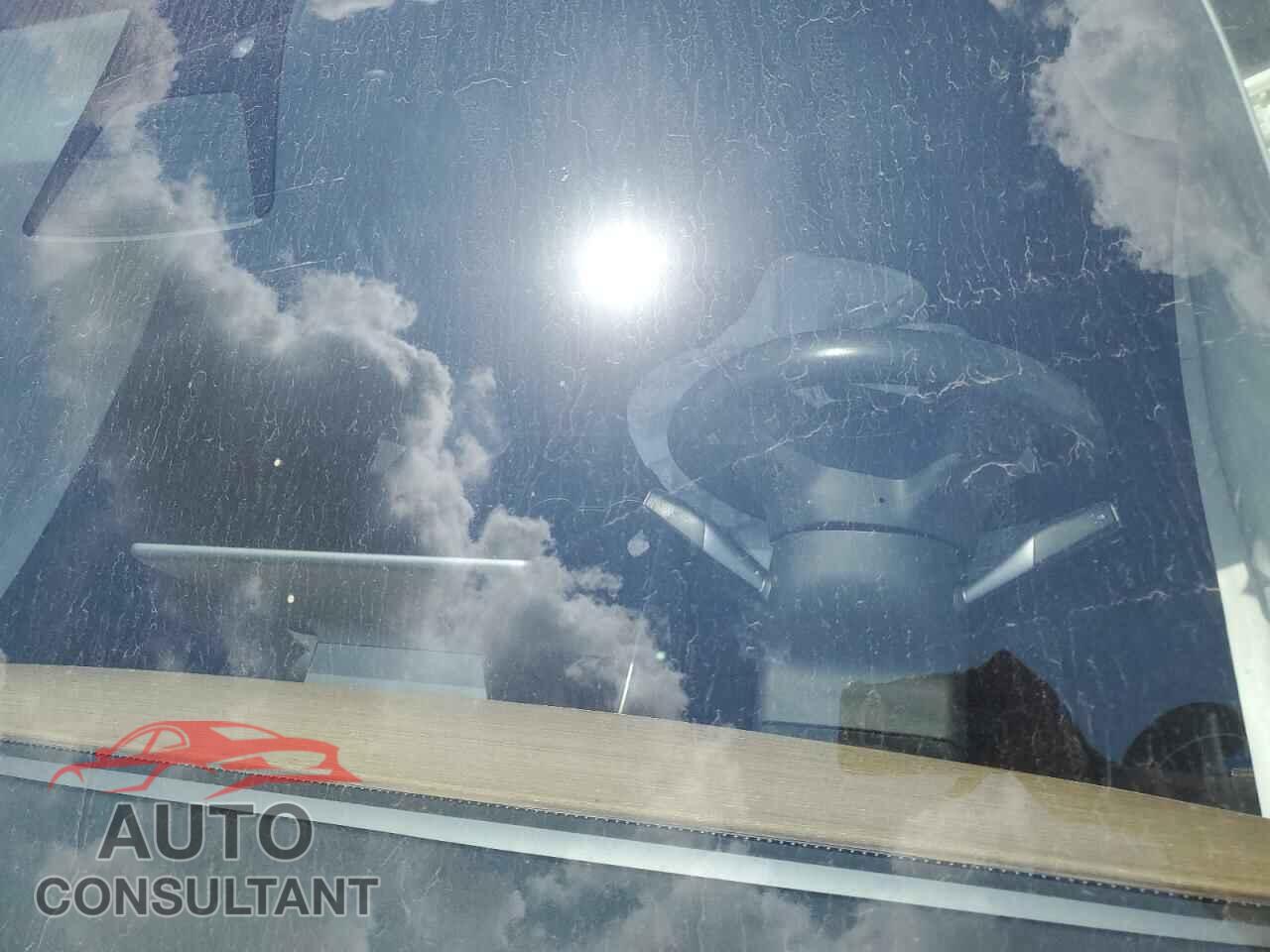 TESLA MODEL 3 2019 - 5YJ3E1EA1KF309793