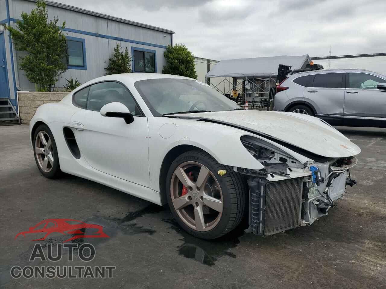 PORSCHE CAYMAN 2015 - WP0AB2A80FK180138