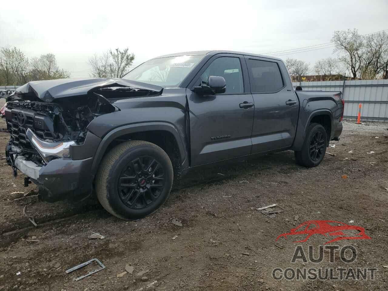 TOYOTA TUNDRA 2024 - 5TFLA5DB8RX225497