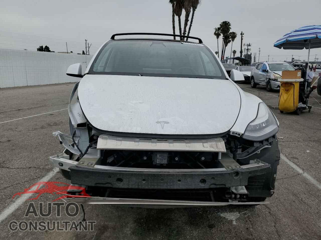 TESLA MODEL Y 2020 - 5YJYGDEEXLF052963