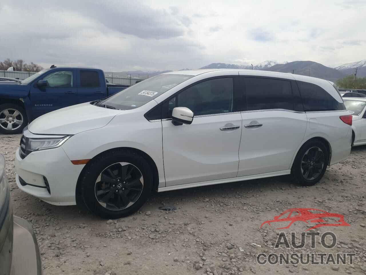 HONDA ODYSSEY 2021 - 5FNRL6H99MB000042