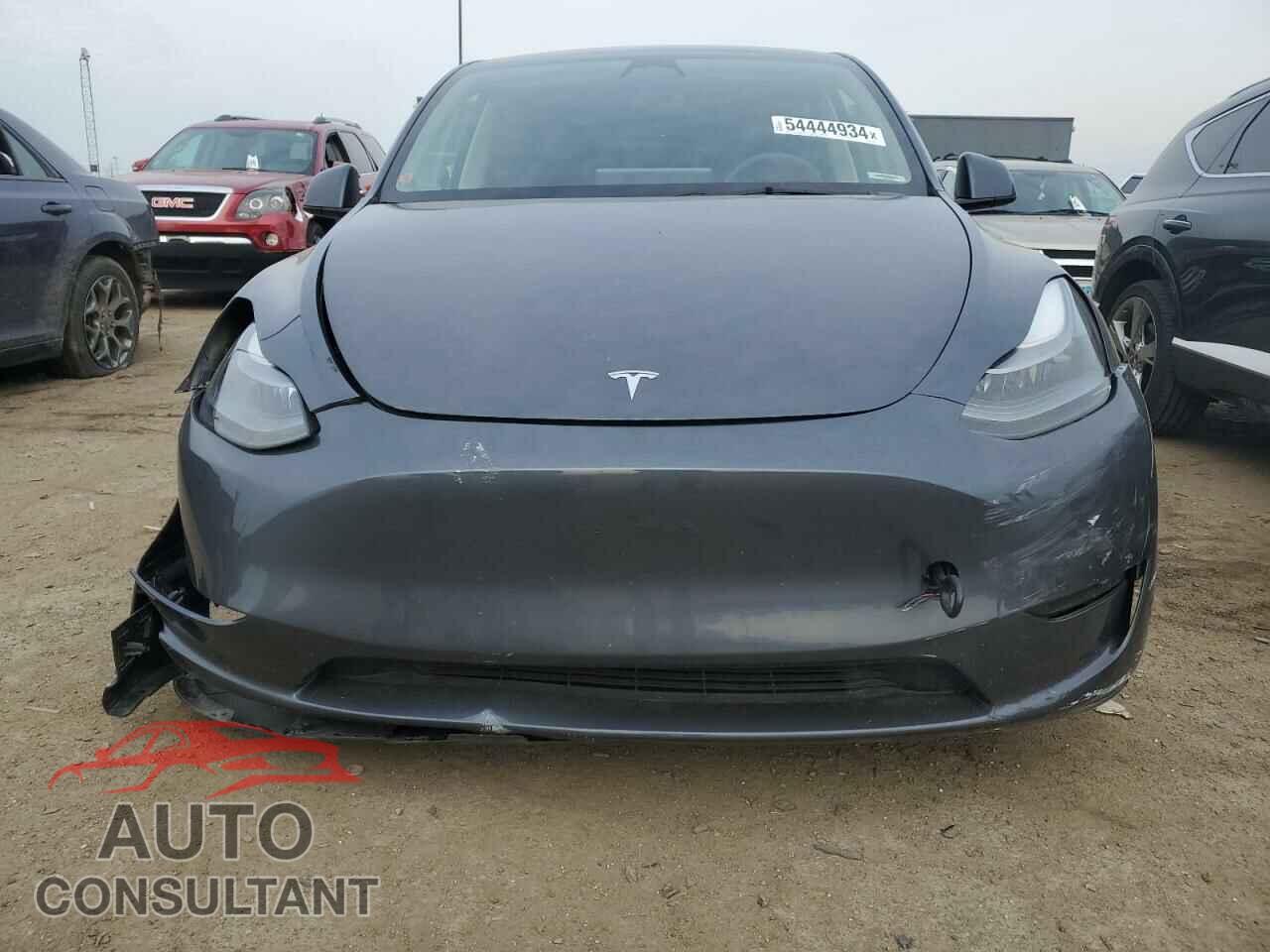 TESLA MODEL Y 2023 - 7SAYGDEEXPF699243